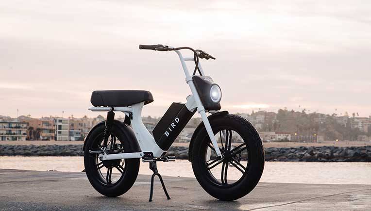 bird bike scooter