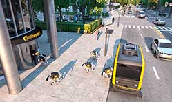 Continental robots show their delivery prowess