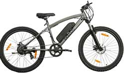 E-bike sales will continue to increase rapidly in coming years 