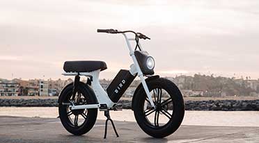 Bird Electric to introduce e-scooters, low-speed electric bike in India. 