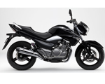Suzuki Motorcycle unveils 250cc Inazuma