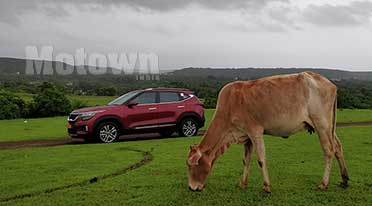 KIA SELTOS SUV First Drive Report -Tiger nosed Marvel 