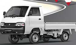 Maruti Suzuki Super Carry dominates mini truck segment in India