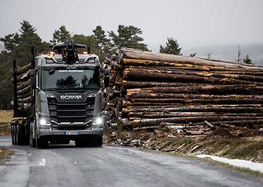 Trucks, timber and tricky terrain: why Scania is the answer 