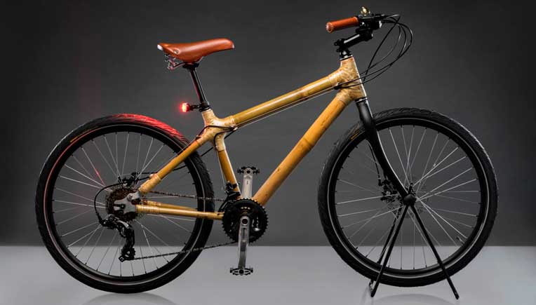 Bambusa bicycle