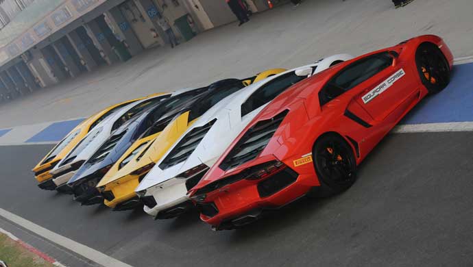 The delightful Lamborghinis!