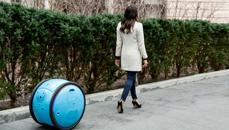 GITA is an autonomous vehicle, designed to assist people. It carries up to 18 kg, observes, and communicates. 