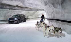 Dog power vs horsepower in Discovery Sport snow tunnel challenge