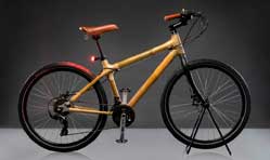 Godrej & Boyce launches Bambusa bamboo frame bicycles