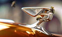 Introducing Bentley’s new flying bees