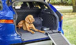 Jaguar launches all-new pet products in UK for Christmas